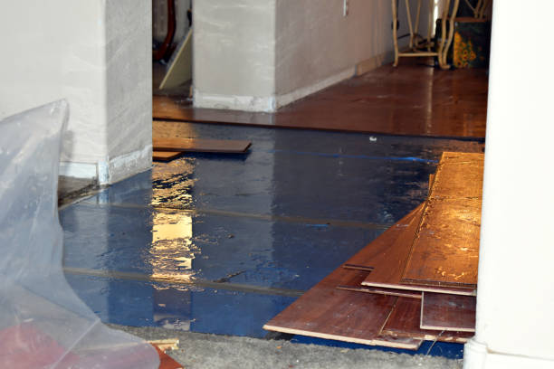 Professional Burst Pipe Cleanup technician working in Julian, NC